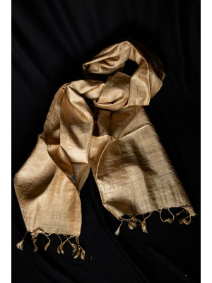 MUGA SILK STOLE (GOLDEN SILK OF ASSAM) MUGA SILK STOLE (GOLDEN SILK OF ASSAM)