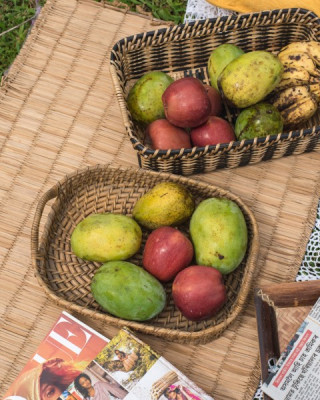 Cane Wooden Wicker Tray