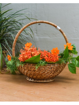 CANE BAMBOO BASKET