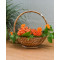 CANE BAMBOO BASKET