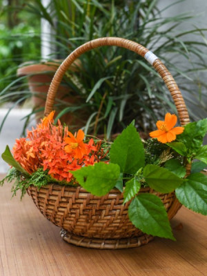 CANE BAMBOO BASKET CANE BAMBOO BASKET