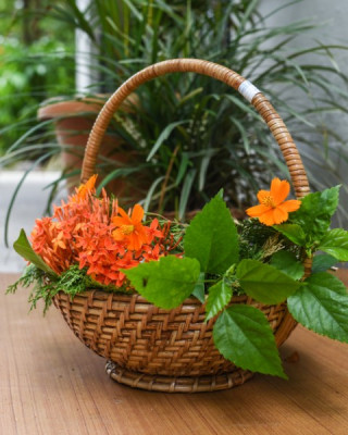 CANE BAMBOO BASKET CANE BAMBOO BASKET