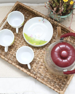 Water Hyacinth Tray Water Hyacinth Tray