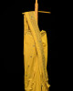 Eri (Ahimsa) Silk Turmeric Yellow Saree Eri (Ahimsa) Silk Turmeric Yellow Saree