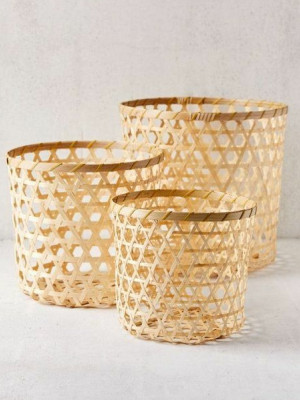 Cane Planter Set of 3 Cane Planter Set of 3
