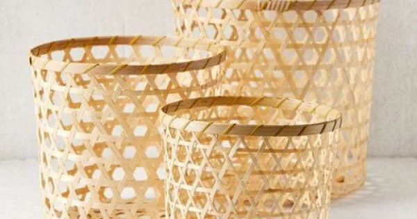 Cane Planter Set of 3