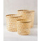 Cane Planter Set of 3