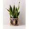 Bamboo Cane Planter