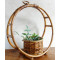 Cane Ring Hanging Planters