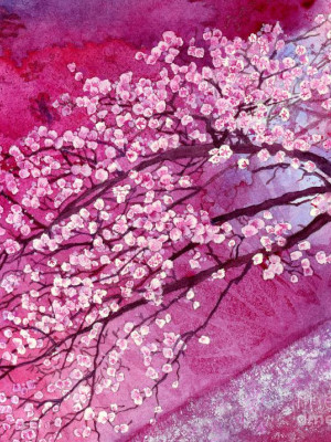 Cherry Blossom Meghalaya Painting Cherry Blossom Meghalaya Painting