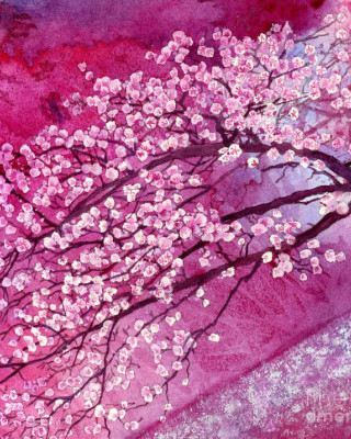 Cherry Blossom Meghalaya Painting
