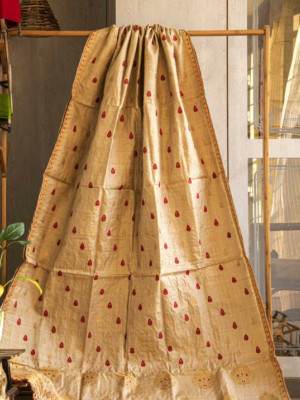 Assamese Muga Silk Saree